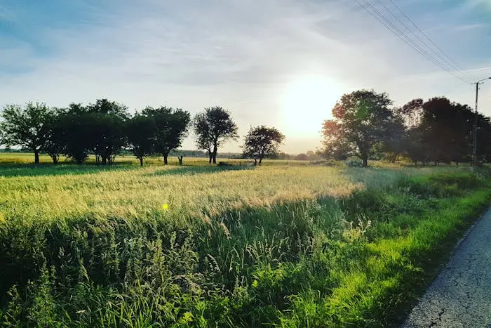 natura w Radomiu