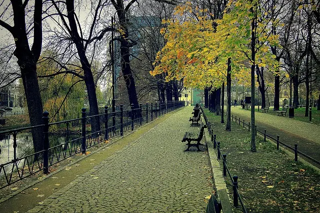 Park jesienią we Wrocławiu