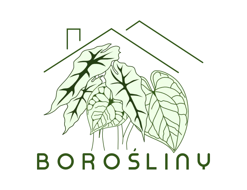 Borośliny